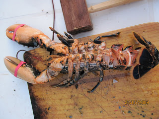 "Bogavantes a la plancha" Bogavante.jpg