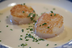 "Vieiras sobre Crema de Puerro" Vieiras.jpg
